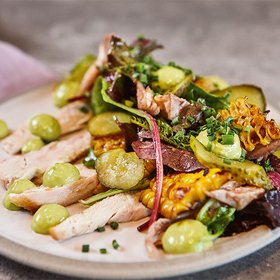 Gegrillter Hähnchensalat mit Avocadocreme Ein frischer Hähnchensalat mit gegrilltem Hähnchenbrustfilet, gemischtem Salat, gegrilltem Mais, Avocadocreme und Schnittlauch, angerichtet auf einem weißen Teller.