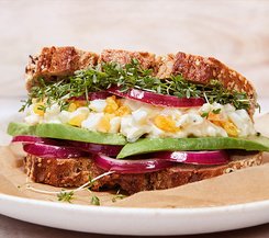 Sportlerbrot-Sandwich mit Eiersalat und Avocado Ein Sandwich aus Sportlerbrot, gefüllt mit Eiersalat, Avocado, roten Zwiebeln und frischer Kresse.