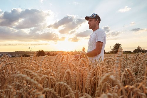 Bauer steht in einem reifen Weizenfeld bei Sonnenuntergang und betrachtet seine Ernte.