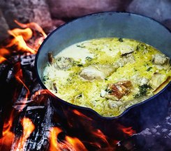 Cremiger Hähncheneintopf über offenem Feuer gekocht Ein Topf mit cremigem Hähncheneintopf, der über einem offenen Feuer gekocht wird.