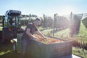 Ein Landwirt steht neben einer großen Kiste voller Äpfel auf einem Anhänger, im Hintergrund ist ein Traktor und ein Obstgarten zu sehen.