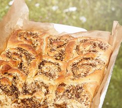 Apfel-Mohnschnecken frisch gebacken Eine frische, goldbraun gebackene Apfel-Mohnschnecke in einer mit Backpapier ausgelegten Form, draußen vor einer grünen Wiese.