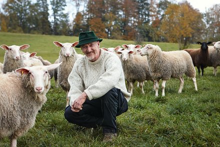 Schäfer mit Schafherde Ein Schäfer in einem cremefarbenen Strickpullover und grünem Hut kniet inmitten einer Schafherde auf einer Weide.