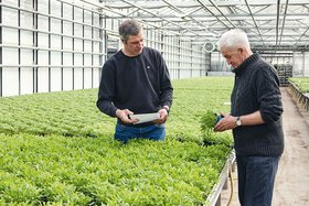 Zwei Männer stehen in einem Gewächshaus voller grüner Pflanzen, einer hält einen Notizblock, der andere hält ein Bündel Pflanzen.