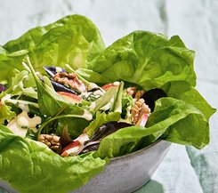 Frischer Blattsalat mit Apfel und Walnüssen Eine Schüssel mit frischem Salat, garniert mit Apfelscheiben, Walnüssen und einem leichten Dressing.
